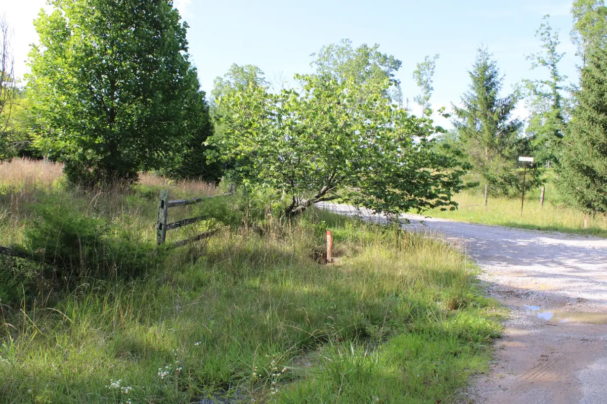 0 Long Mountain, McMinnville, TN 37110 - #1
