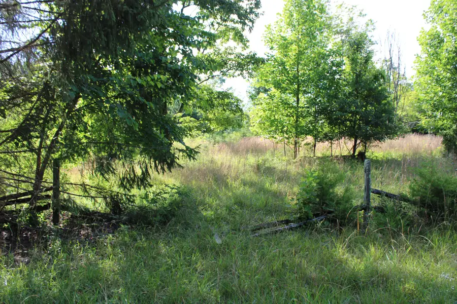 0 Long Mountain, McMinnville, TN 37110 - #2