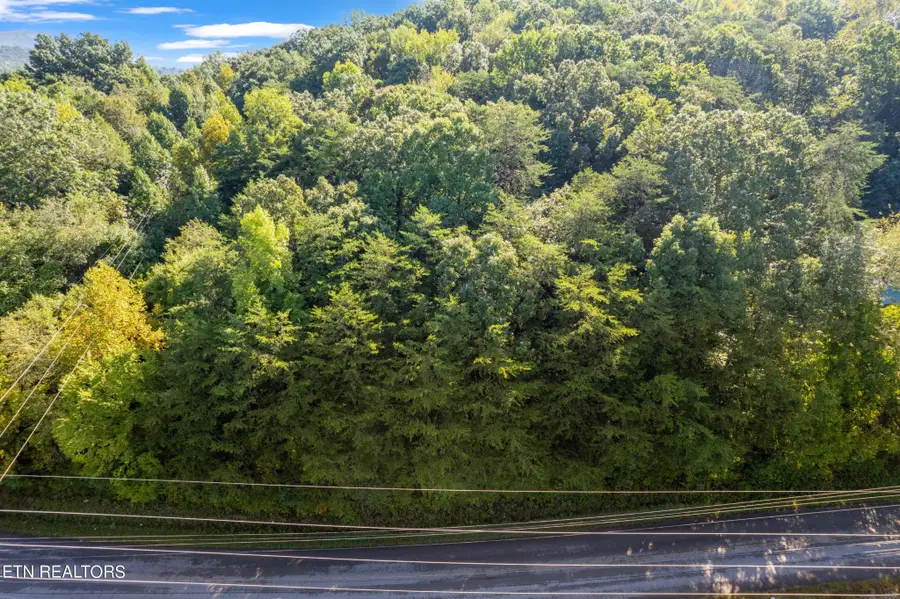 0 Delozier Lane, Rockwood, TN 37854 - #3