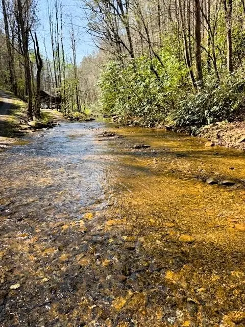 768 Ellis Creek Road, Reliance, TN 37369