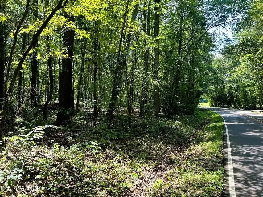5 Pleasant Hill Road, Ten Mile, TN 37880 - #3