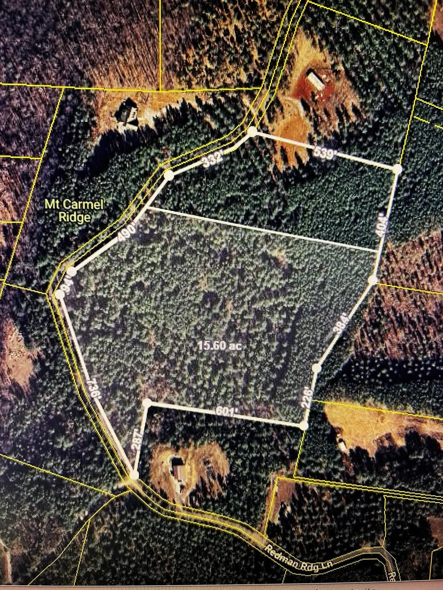 1553 Redman Ridge Lane, Decatur, TN 37322 - #2