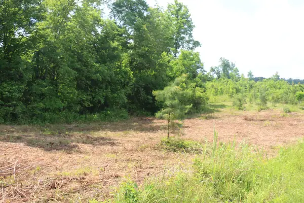1 N Nopone Valley Road, Decatur, TN 37322