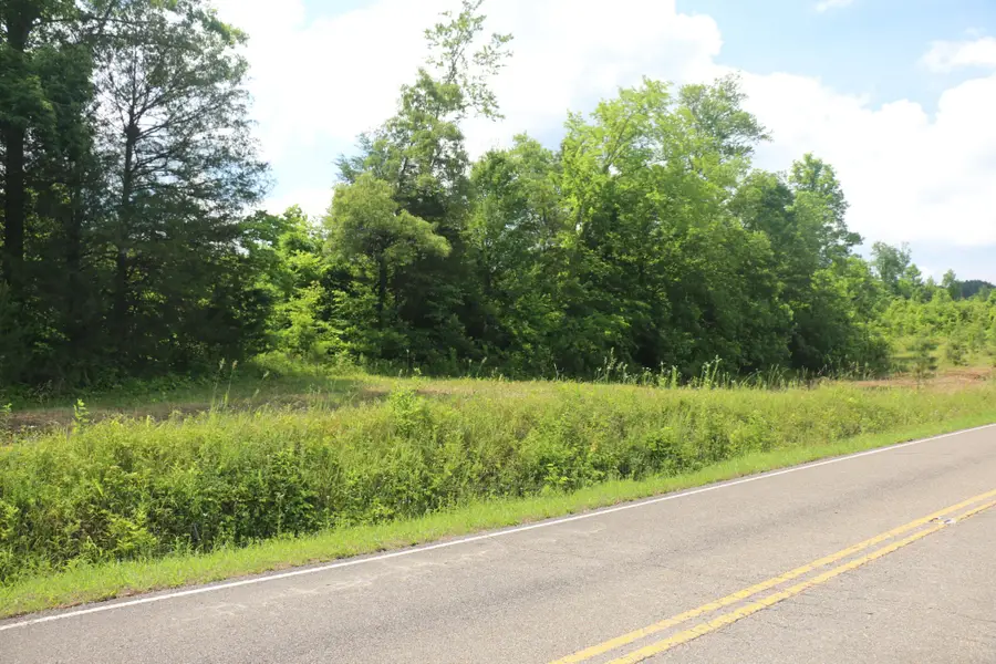 1 N Nopone Valley Rd, Decatur, TN 37322 - #3