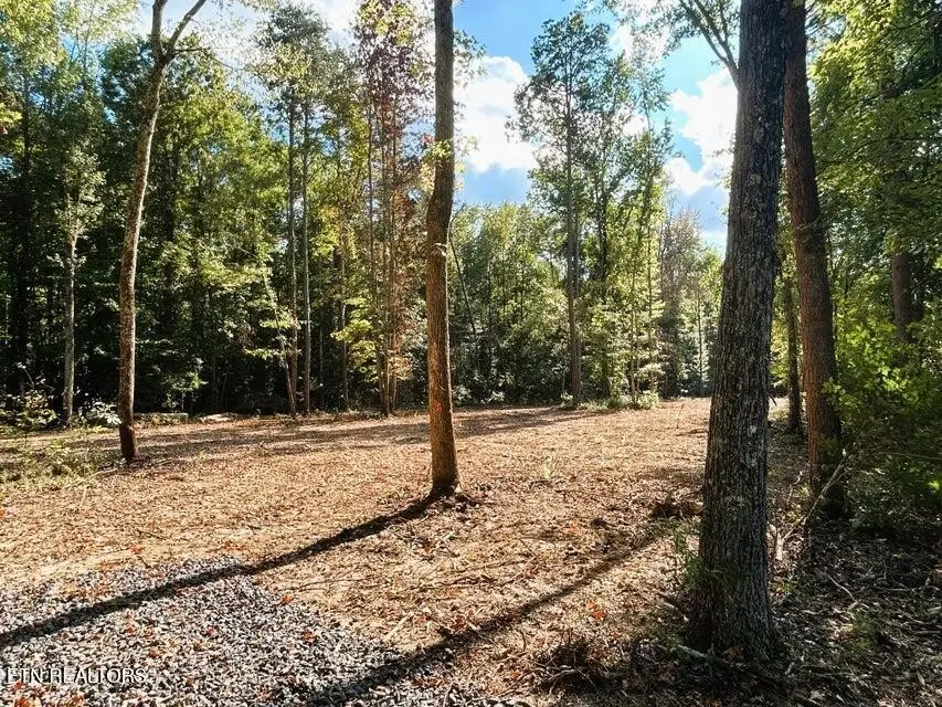 3 Pleasant Hill, Ten Mile, TN 37880 - #1