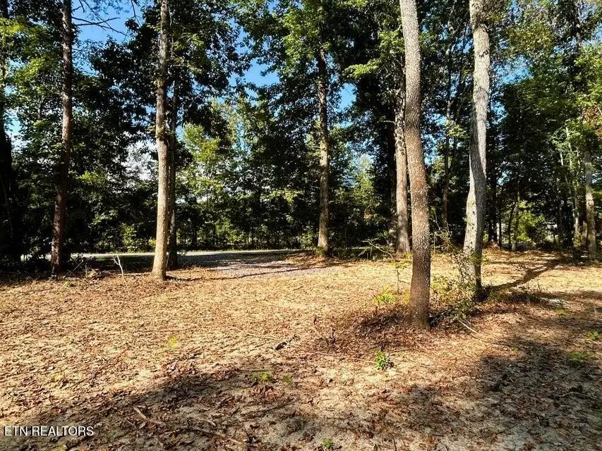 3 Pleasant Hill, Ten Mile, TN 37880 - #3