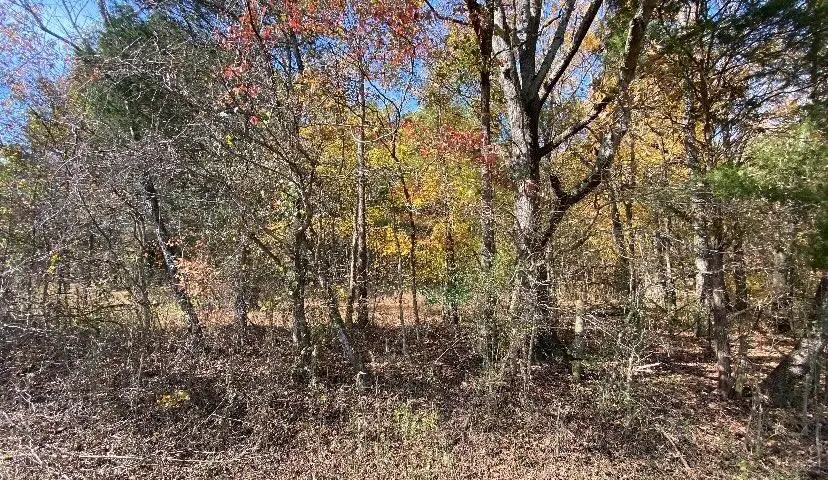 0 County Road 62, Riceville, TN 37370 - #2
