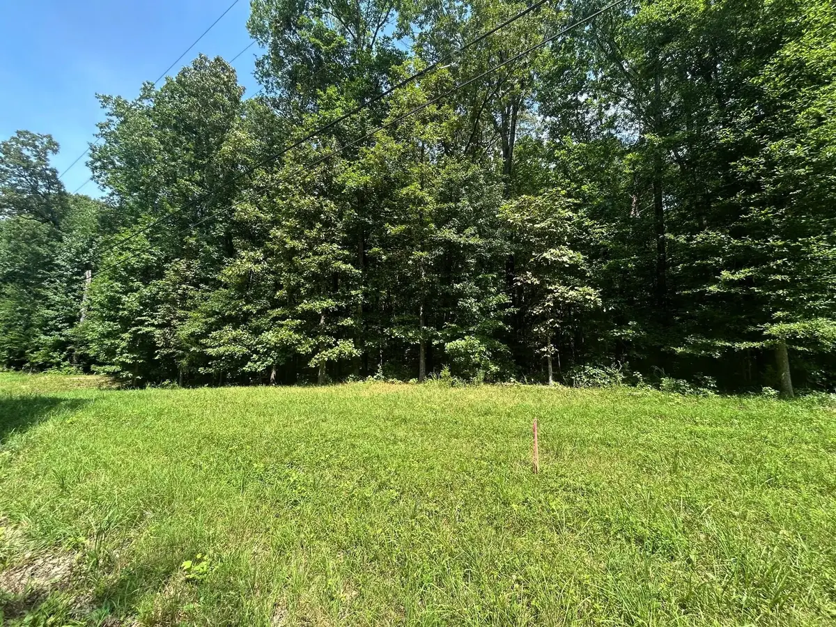 2 Highway 304, Ten Mile, TN 37880 - #1