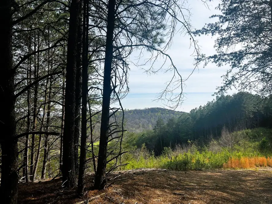 7 Sw Owl Hollow Road, Mc Donald, TN 37353 - #2