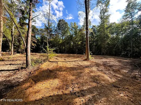 55 Pleasant Hill Road, Ten Mile, TN 37880