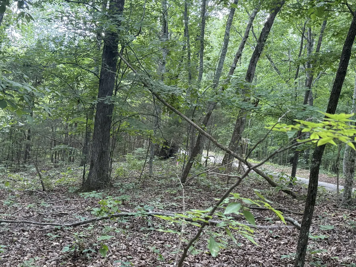 0 Jack Holt Rd, Prospect, TN 38477 - #1