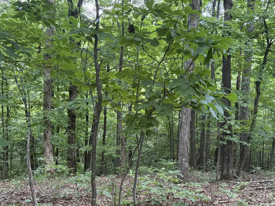 0 Jack Holt Rd, Prospect, TN 38477 - #3