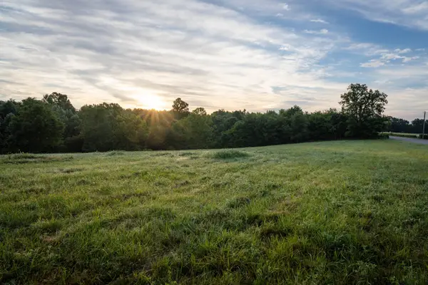 7810 W Lick Creek Rd, Primm Springs, TN 38476