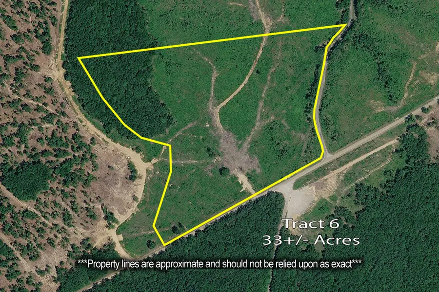 0 Coxburg Rd N, Holladay, TN 38341 - #2