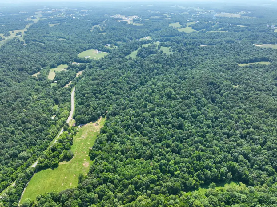 3846 Vernon Creek, Cunningham, TN 37052 - #2