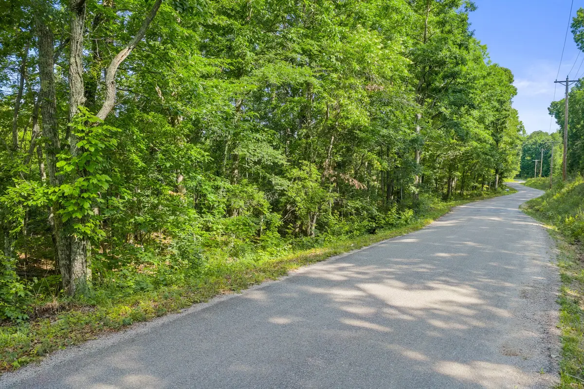 0 Coxburg Rd N, Holladay, TN 38341 - #1