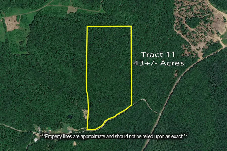 0 Rockport Mcillwain Rd, Holladay, TN 38341 - #2