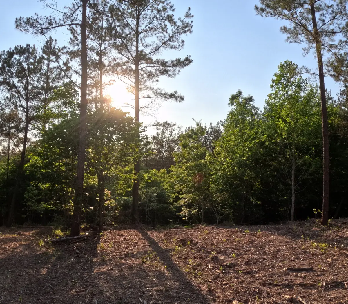 1882 Hillbrook Dr, Linden, TN 37096 - #1