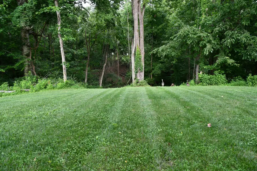 124 Grayson Ln, White House, TN 37188 - #2