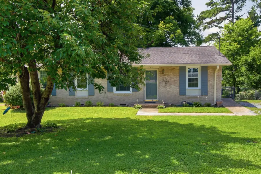 203 Townes Dr, Nashville, TN 37211 - #3