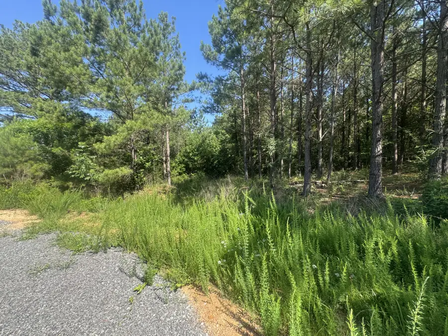 0 Rustic Pines Rd, Dover, TN 37058 - #3