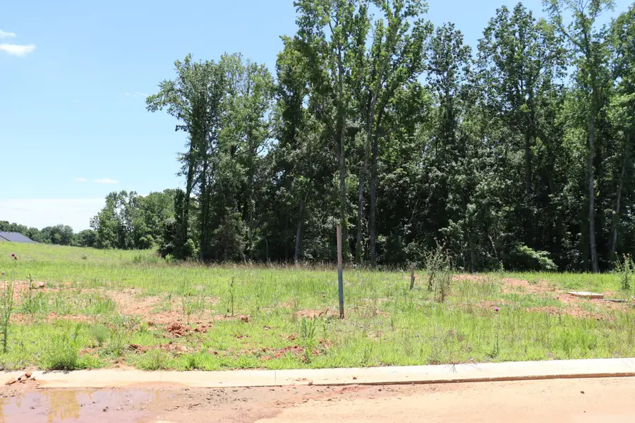 1638 Hidden Creek Trl, Clarksville, TN 37043 - #3
