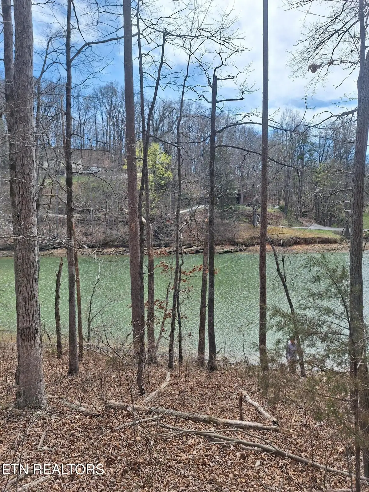 13136 George Lovelace Lane, Knoxville, TN 37932 - #1