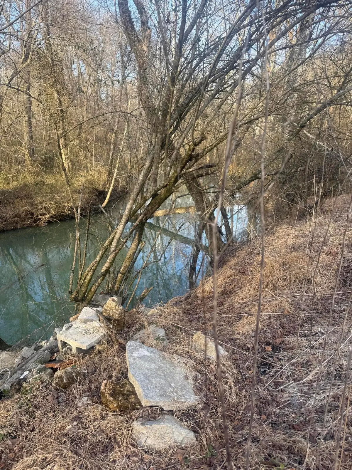 12 Burnt Mill Circle, Flintstone, GA 30725 - #1
