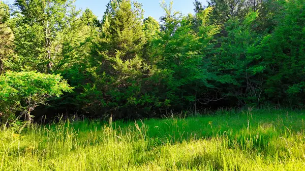 2 Lakewood Lake Ln, Huntingdon, TN 38344
