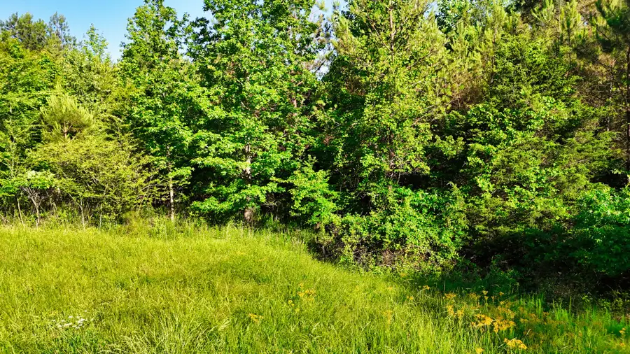 2 Lakewood Lake Ln, Huntingdon, TN 38344 - #2