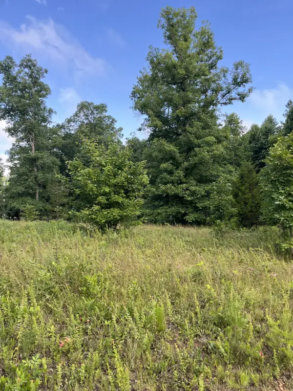 0 Henley Drive, Altamont, TN 37301