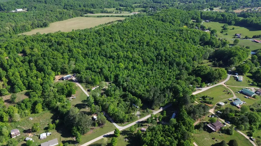 1 County Rd 288, Niota, TN 37826 - #2