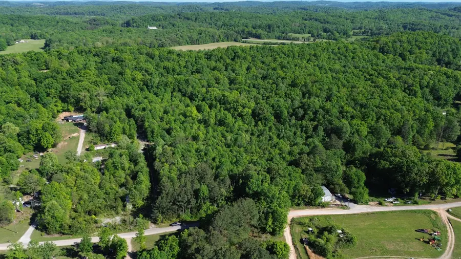 1 County Rd 288, Niota, TN 37826 - #3