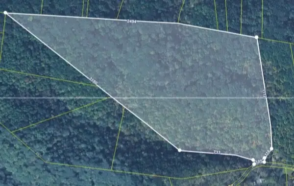 0 Seymour Hollow Road, Whites Creek, TN 37189