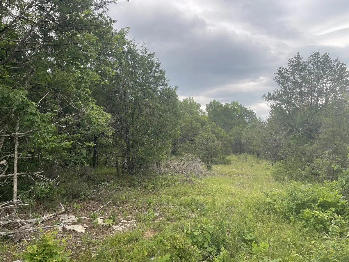 3822 Bivens Hill Rd, Readyville, TN 37149 - #1