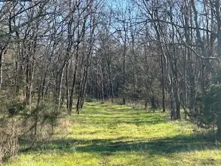 14907 Cainsville Rd, Lebanon, TN 37090 - #3