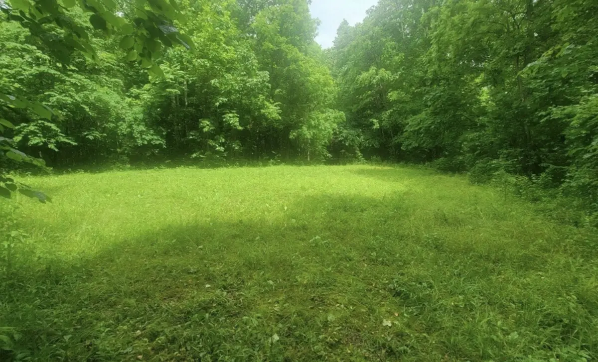 0 Wilderness Lane, Lafayette, TN 37083 - #1