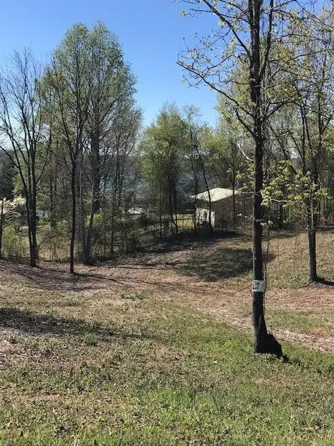 11 Piney View Drive, Spring City, TN 37381