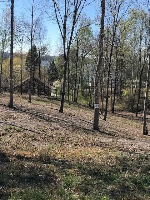 12 Piney View Drive, Spring City, TN 37381 - #1