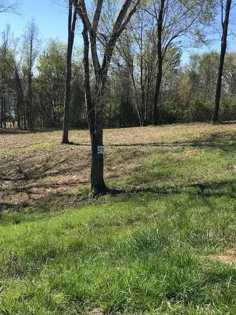 10 Piney View Drive, Spring City, TN 37381 - #1