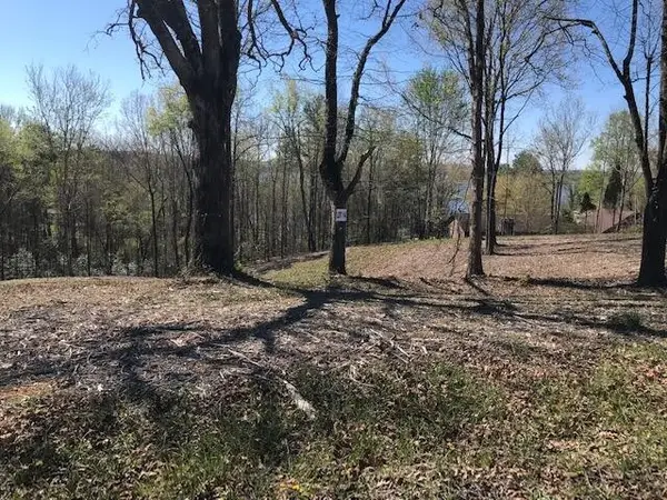 14 Piney View Drive, Spring City, TN 37381