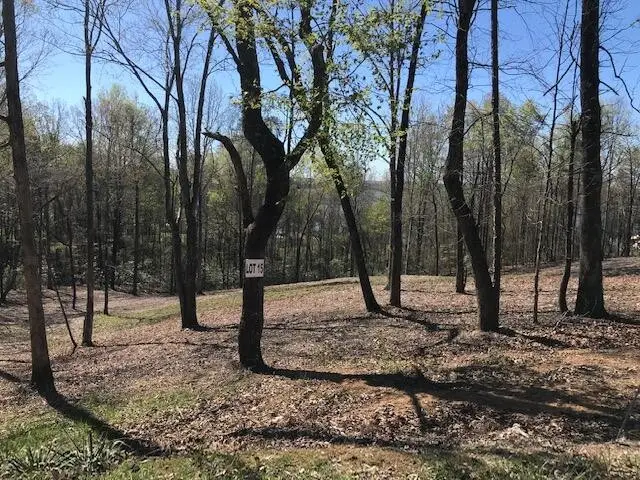 15 Piney View Drive, Spring City, TN 37381 - #1