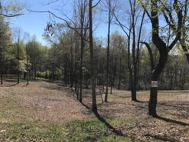 15 Piney View Drive, Spring City, TN 37381 - #3