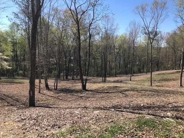 16 Piney View Drive, Spring City, TN 37381 - #1