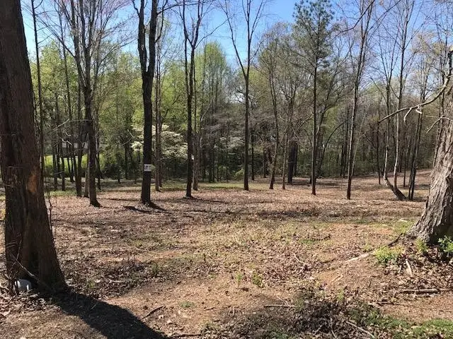 17 Piney View Drive, Spring City, TN 37381 - #1