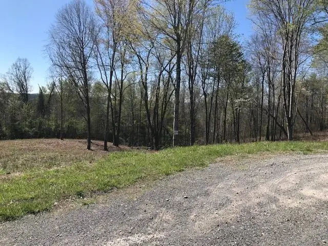 9 Piney View Drive, Spring City, TN 37381 - #1