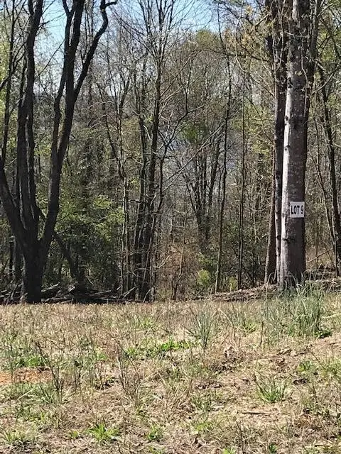 9 Piney View Drive, Spring City, TN 37381 - #3