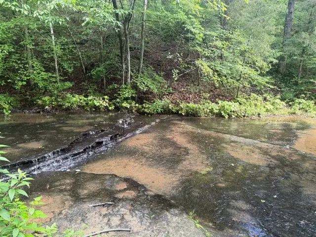 29 Gibbs Rd, Ashland City, TN 37015 - #1