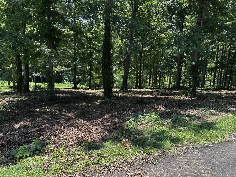 196 Fairway Circle, Loretto, TN 38469 - #2