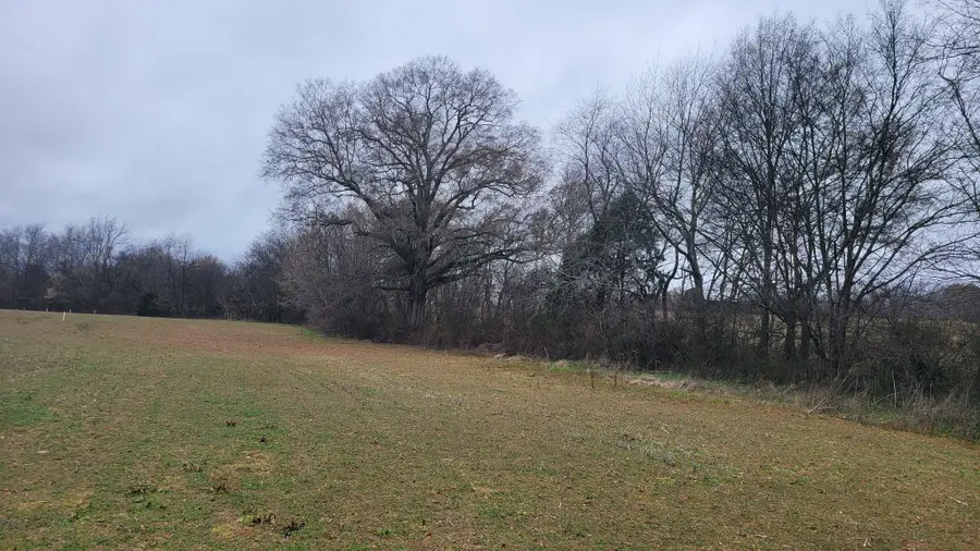 2917 Old Mcminnville Hwy, Woodbury, TN 37190 - #3